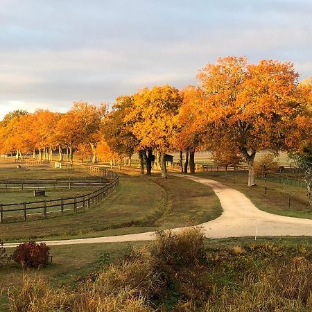 Haras Du Vignault Le Bucher Salbris Eksteriør bilde