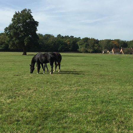 Haras Du Vignault Le Bucher Salbris Eksteriør bilde
