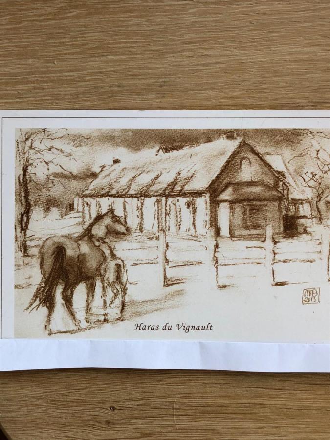 Haras Du Vignault Le Bucher Salbris Eksteriør bilde