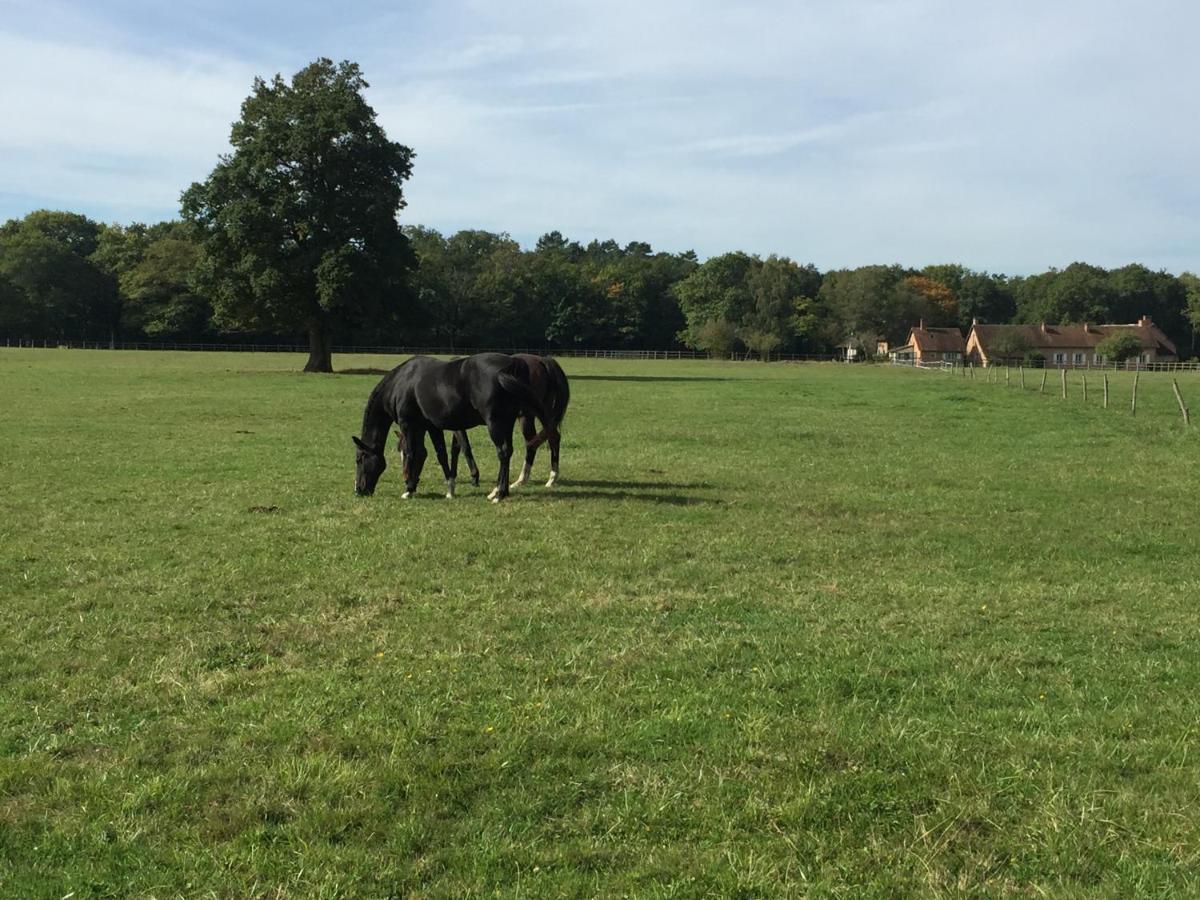 Haras Du Vignault Le Bucher Salbris Eksteriør bilde