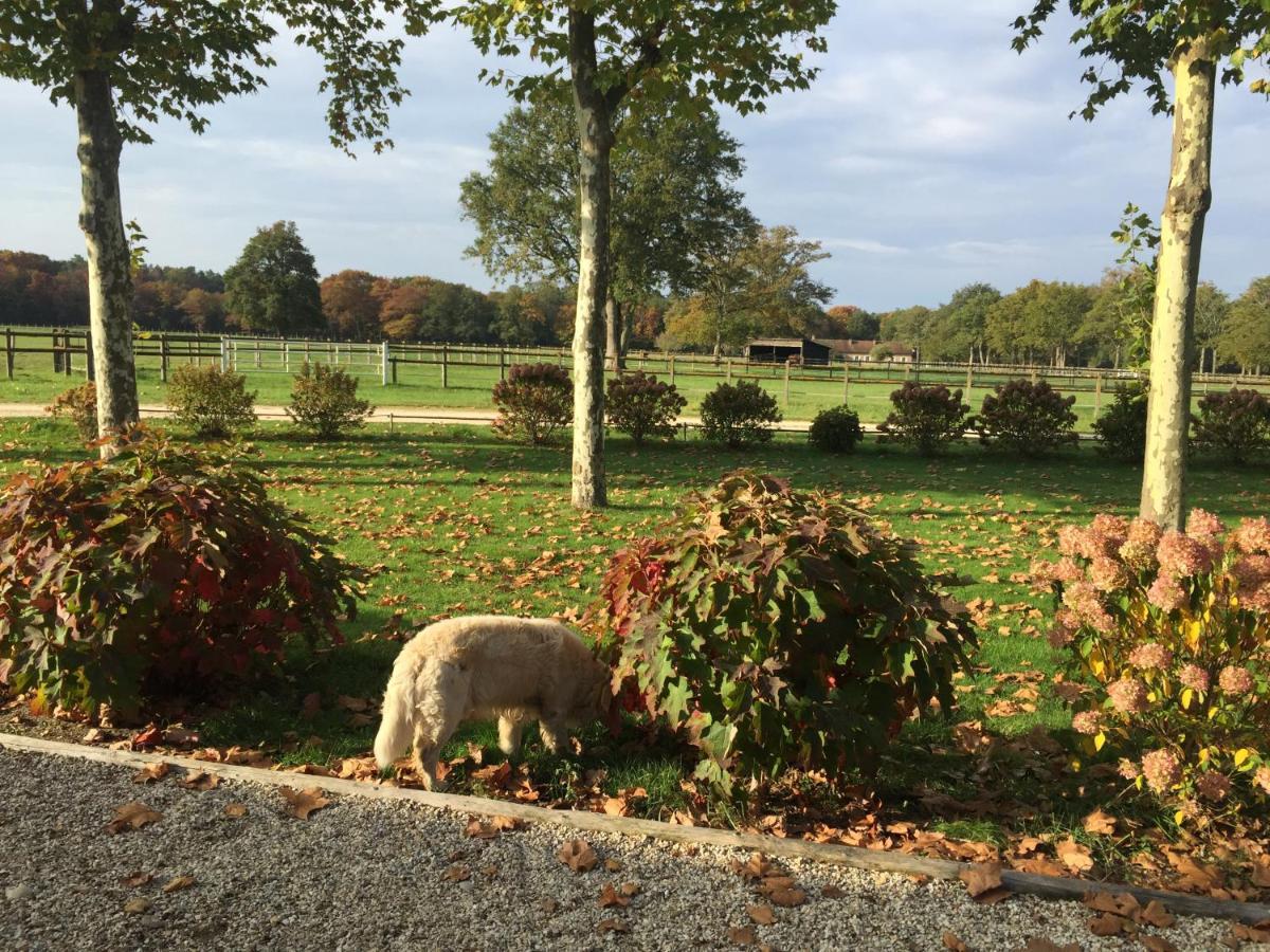 Haras Du Vignault Le Bucher Salbris Eksteriør bilde